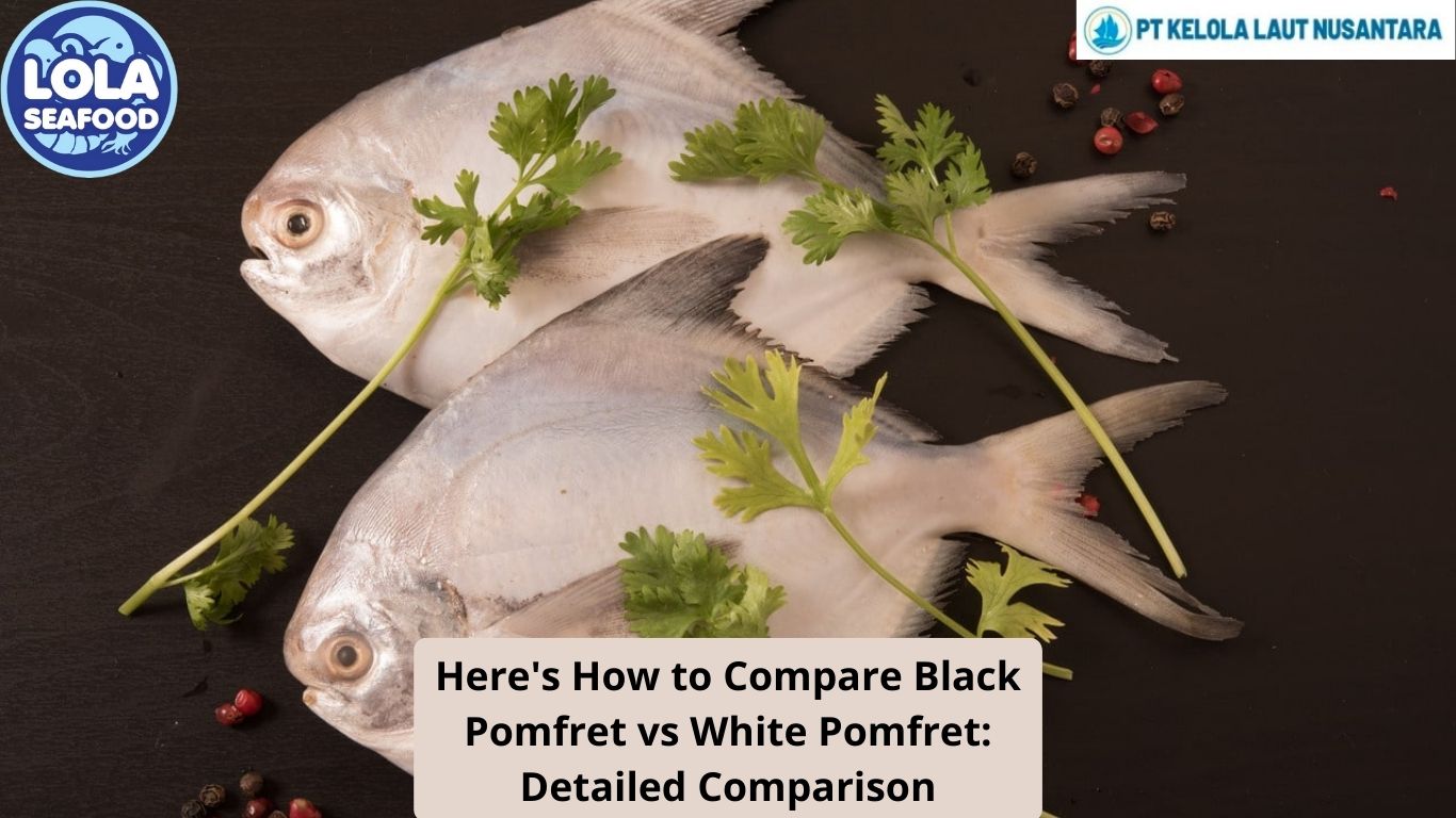 Here's How to Compare Black Pomfret vs White Pomfret: Detailed Comparison